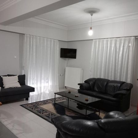 Spacious Apartment Anatoli ヨアニナ エクステリア 写真