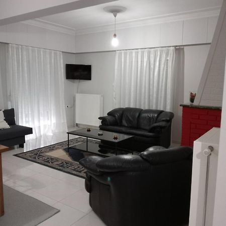 Spacious Apartment Anatoli ヨアニナ エクステリア 写真