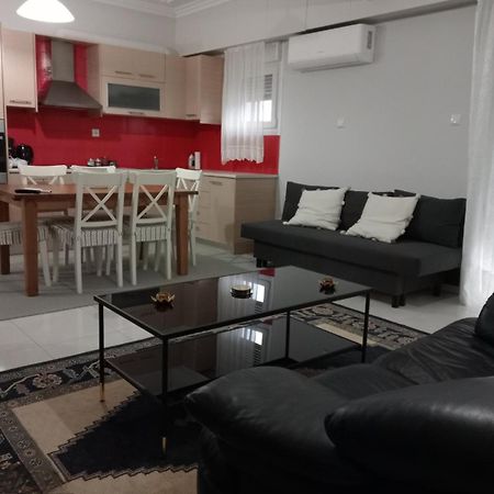 Spacious Apartment Anatoli ヨアニナ エクステリア 写真
